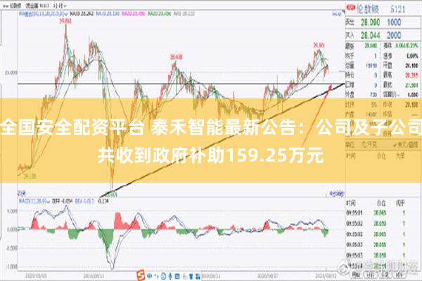 全国安全配资平台 泰禾智能最新公告：公司及子公司共收到政府补助159.25万元