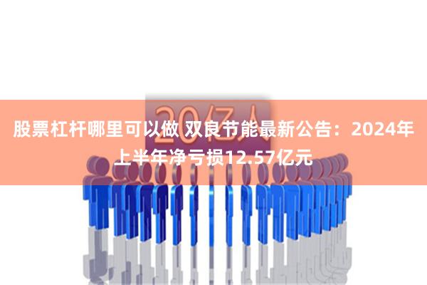 股票杠杆哪里可以做 双良节能最新公告：2024年上半年净亏损12.57亿元