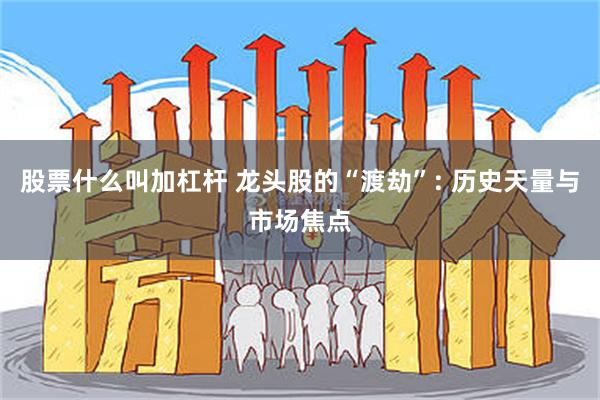 股票什么叫加杠杆 龙头股的“渡劫”: 历史天量与市场焦点