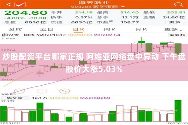 炒股配资平台哪家正规 阿维亚网络盘中异动 下午盘股价大涨5.03%