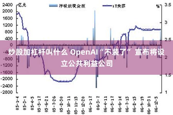 炒股加杠杆叫什么 OpenAI“不装了” 宣布将设立公共利益公司