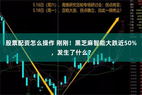 股票配资怎么操作 刚刚！黑芝麻智能大跌近50%，发生了什么？