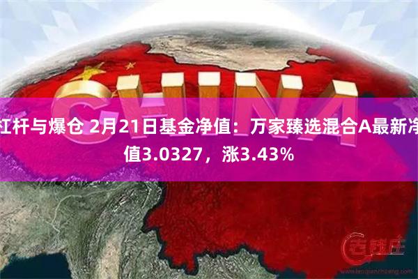 杠杆与爆仓 2月21日基金净值：万家臻选混合A最新净值3.0327，涨3.43%